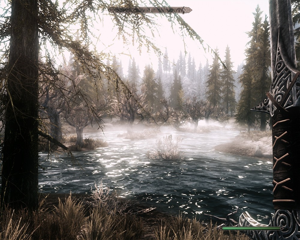 The Elder Scrolls V: Skyrim