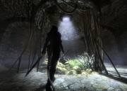 The Elder Scrolls V: Skyrim