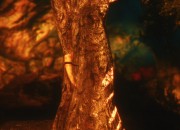 The Elder Scrolls V: Skyrim