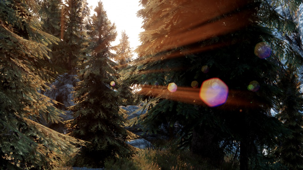 The Elder Scrolls V: Skyrim