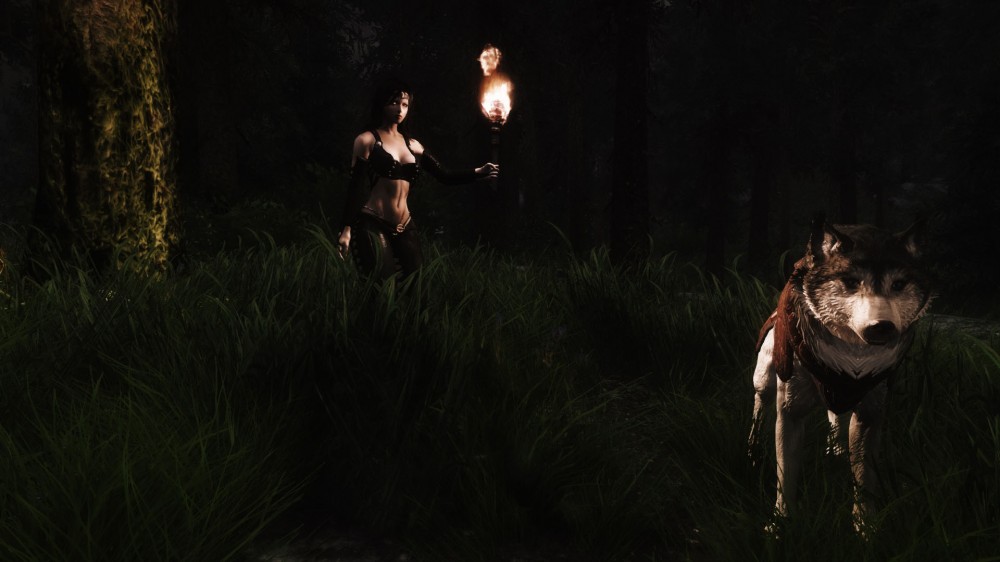 The Elder Scrolls V: Skyrim