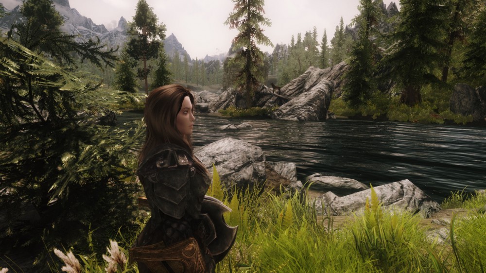 The Elder Scrolls V: Skyrim