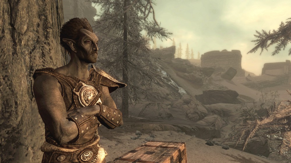The Elder Scrolls V: Skyrim