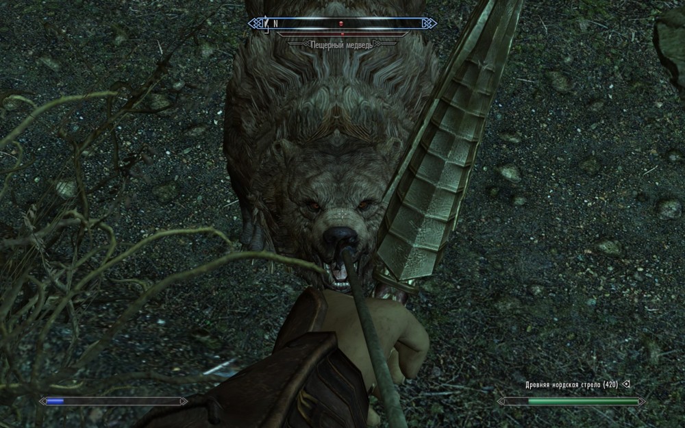 The Elder Scrolls V: Skyrim