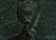 The Elder Scrolls V: Skyrim