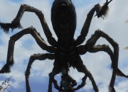 The Elder Scrolls V: Skyrim