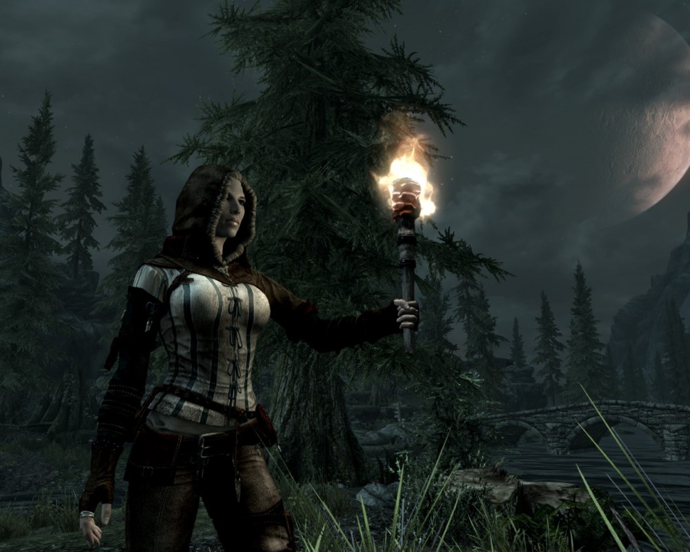 The Elder Scrolls V: Skyrim