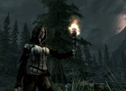 The Elder Scrolls V: Skyrim