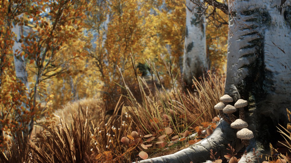 The Elder Scrolls V: Skyrim
