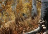 The Elder Scrolls V: Skyrim