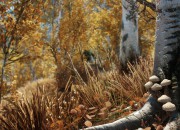 The Elder Scrolls V: Skyrim