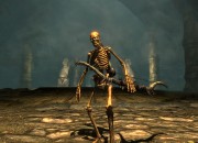 The Elder Scrolls V: Skyrim