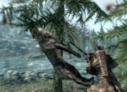 The Elder Scrolls V screenshot