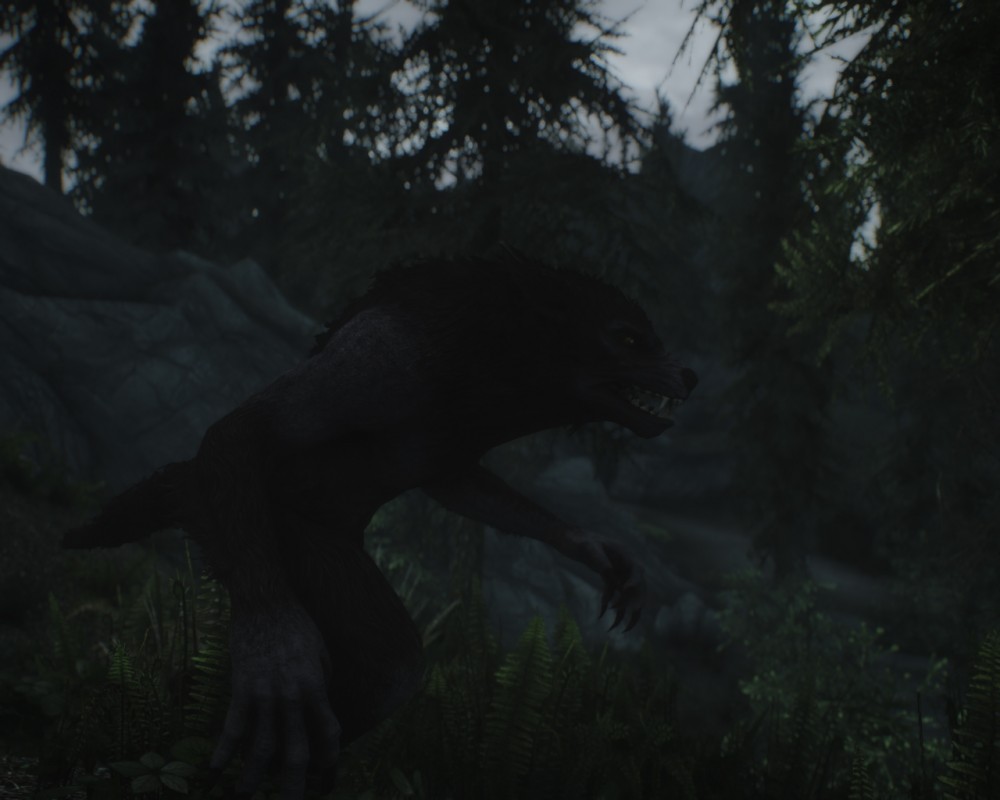 The Elder Scrolls V: Skyrim