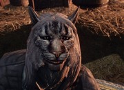 The Elder Scrolls V: Skyrim