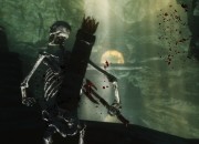 The Elder Scrolls V: Skyrim