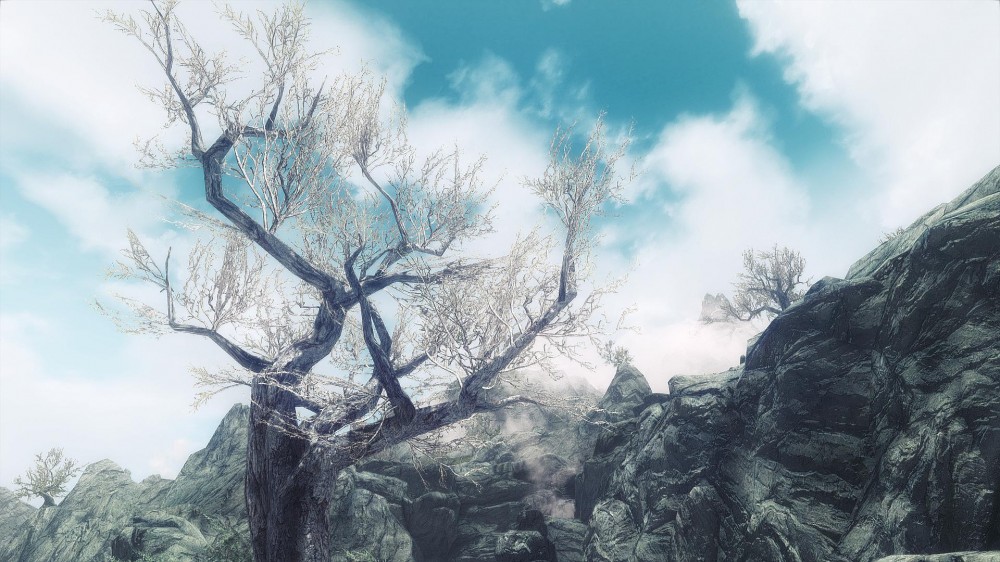 The Elder Scrolls V: Skyrim