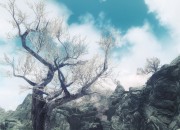 The Elder Scrolls V: Skyrim