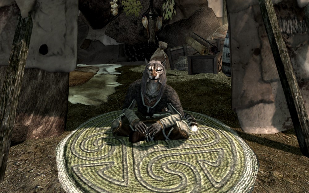 The Elder Scrolls V: Skyrim