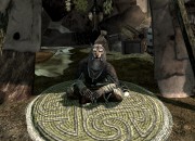 The Elder Scrolls V: Skyrim