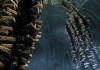 The Elder Scrolls V: Skyrim