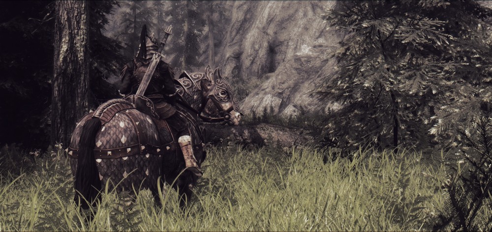 The Elder Scrolls V: Skyrim