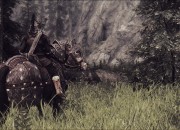 The Elder Scrolls V: Skyrim