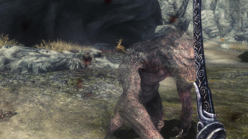 The Elder Scrolls V: Skyrim