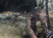 The Elder Scrolls V: Skyrim