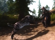 The Elder Scrolls V: Skyrim