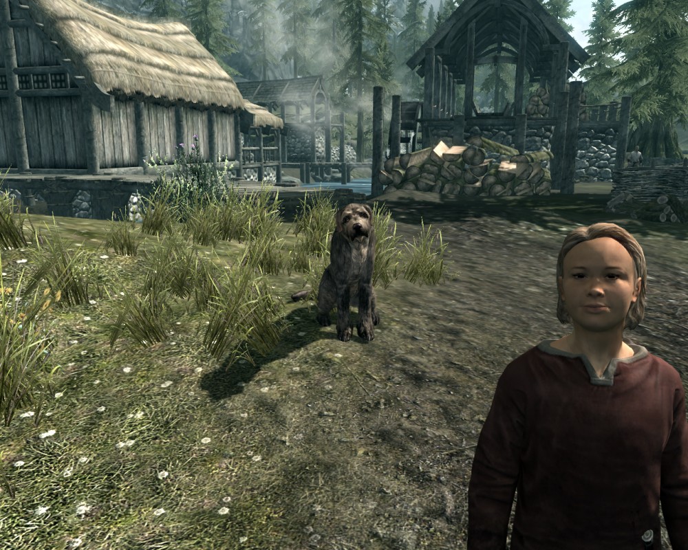 The Elder Scrolls V: Skyrim