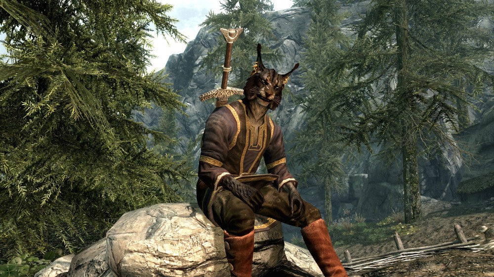 The Elder Scrolls V: Skyrim