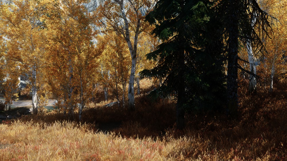 The Elder Scrolls V: Skyrim