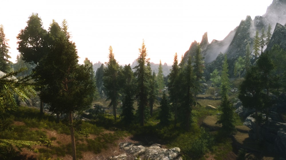 The Elder Scrolls V: Skyrim