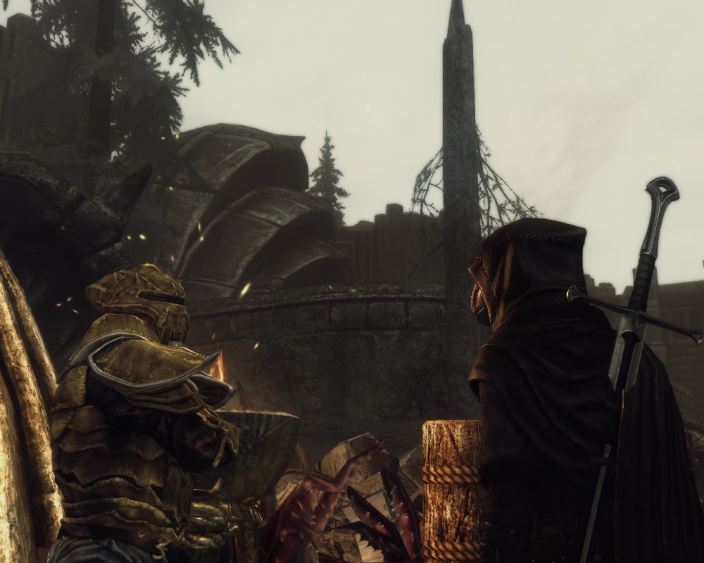 The Elder Scrolls V: Skyrim
