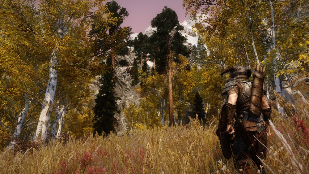 The Elder Scrolls V: Skyrim