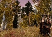The Elder Scrolls V: Skyrim