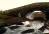 The Elder Scrolls V: Skyrim