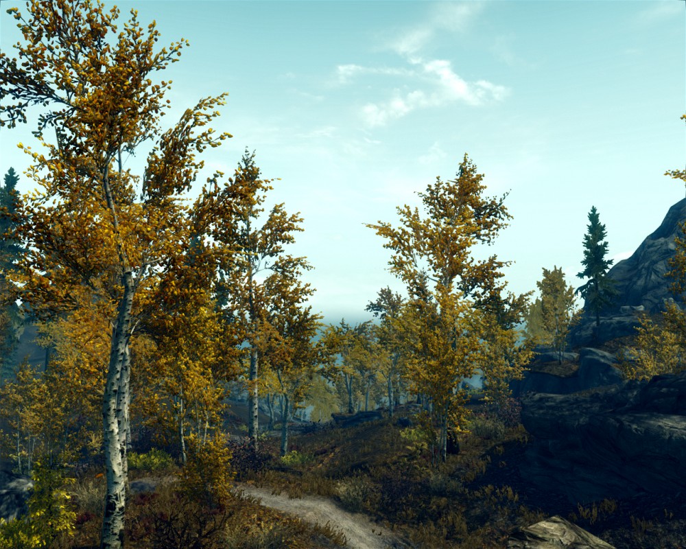 The Elder Scrolls V: Skyrim