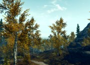 The Elder Scrolls V screenshot