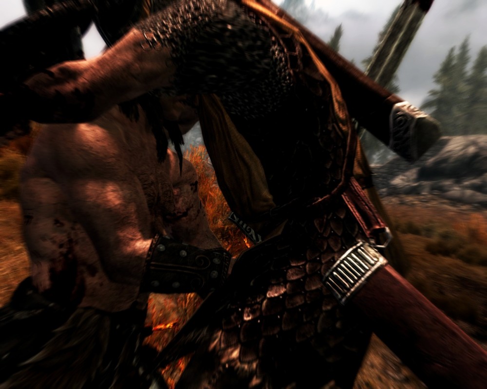 The Elder Scrolls V: Skyrim