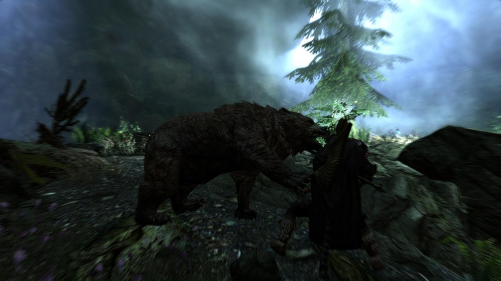 The Elder Scrolls V: Skyrim