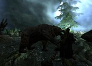 The Elder Scrolls V: Skyrim