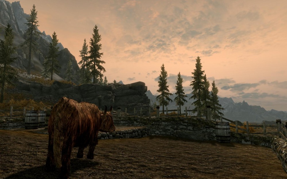 The Elder Scrolls V: Skyrim