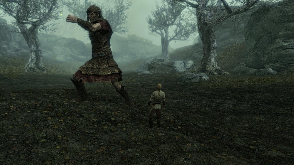 The Elder Scrolls V: Skyrim