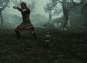 The Elder Scrolls V: Skyrim
