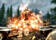 The Elder Scrolls V: Skyrim