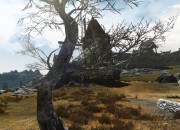 The Elder Scrolls V: Skyrim