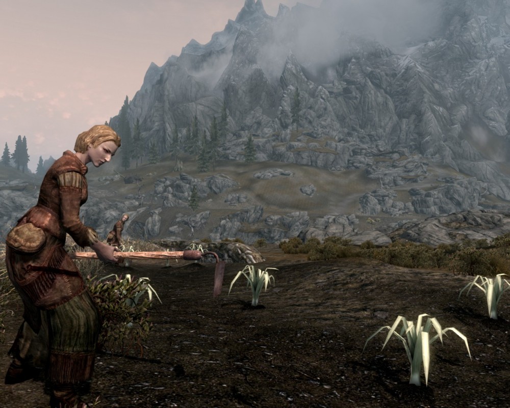 The Elder Scrolls V: Skyrim