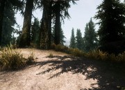 The Elder Scrolls V: Skyrim